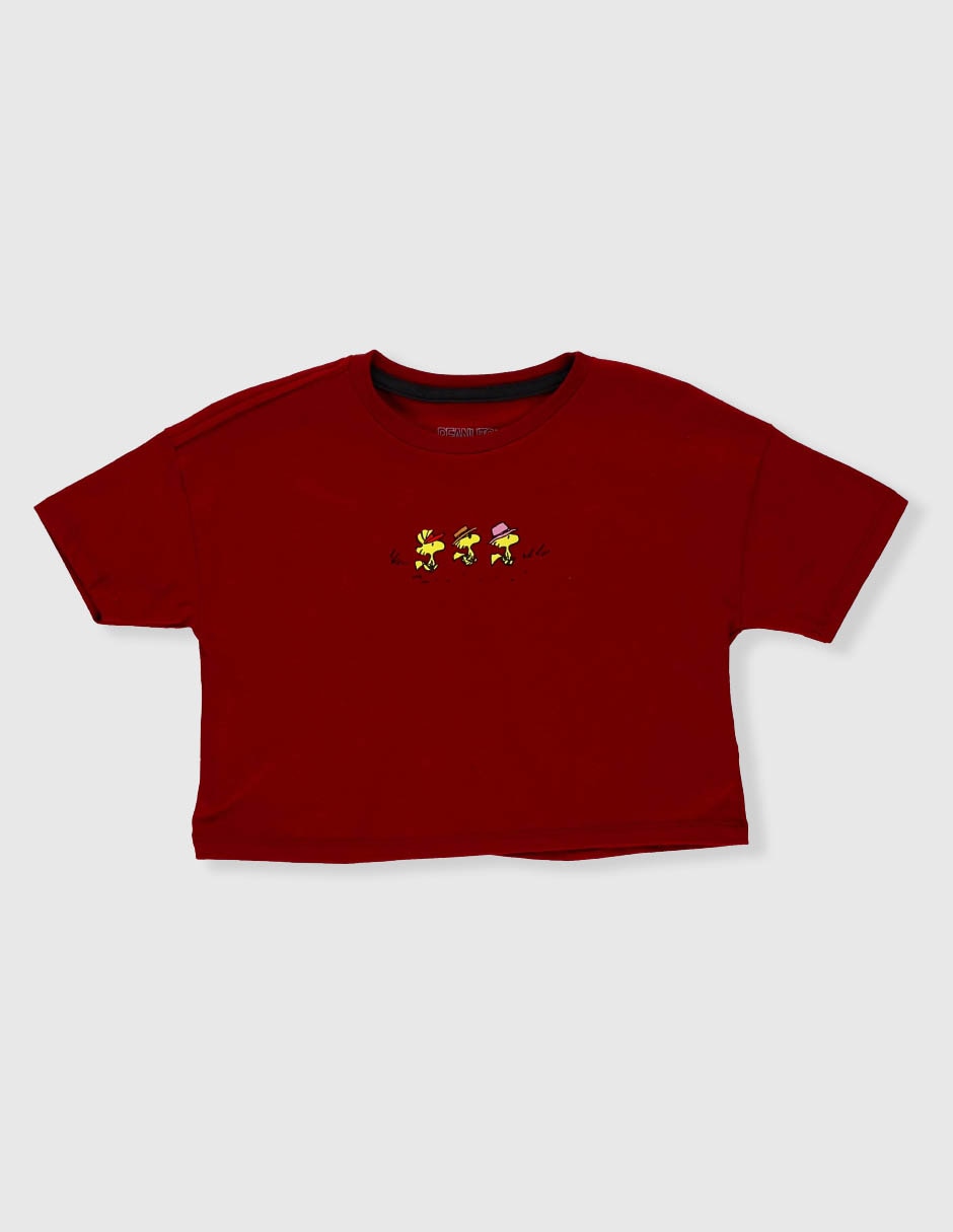 Playera 2