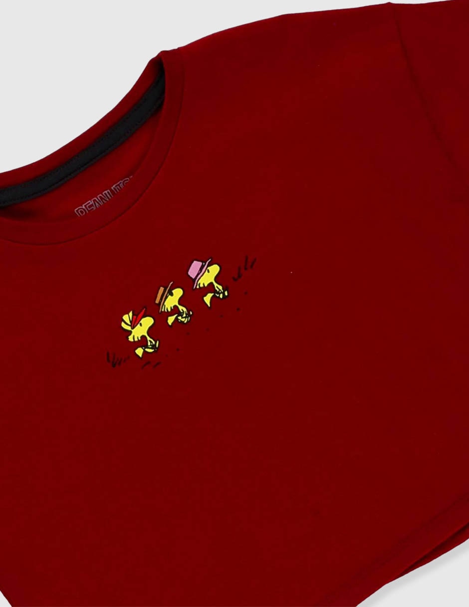 Playera 4